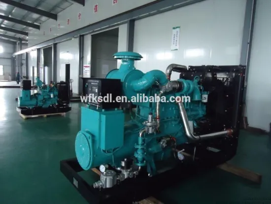 CPT20GF 20kw 4 cylinder SP4100DT gasline engine generator