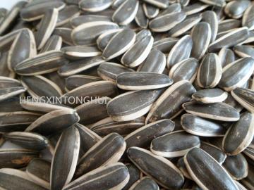 Sunflower Seeds 363/ Sunflower Inshells 363