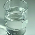 Dheecaan tetrahydrofuran ether wareeg ah