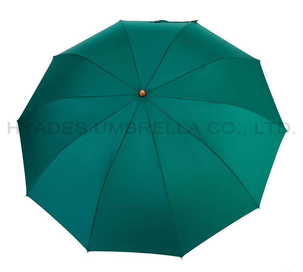 10 Ribs Auto Open 2 Folding Umbrella