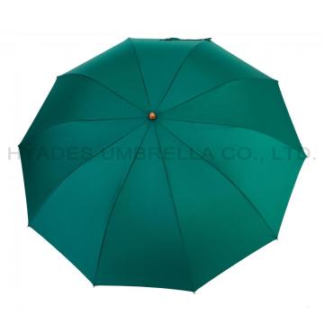 10 Ribs Auto Open 2 Folding Umbrella