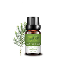 10ML Organic Natural Pure Therapeutic Grade Essential Oil