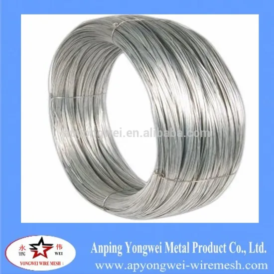 Electric Galvanized wire mesh made in China