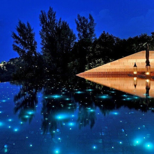 Fiber optic pool coping lighting