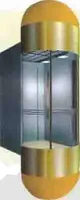 Glass Wall Panoramic Elevator (TGJ-500-JXW(FJ-098))