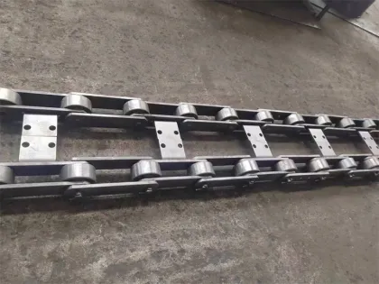 chain food transmission chain