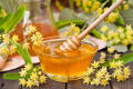 Supply EU BIO CERTIFIED organic liden honey