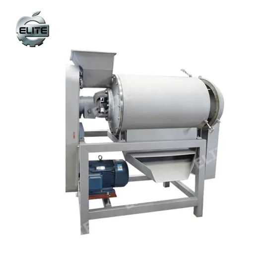Automatic Fruit Puree Making Machine - Apple Pulping Machine