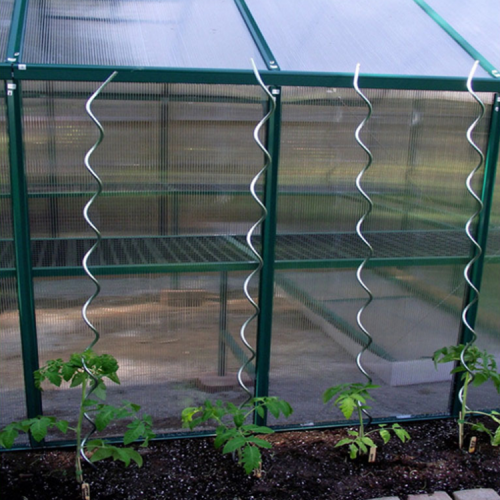 Spirale de plant de tomate 7Mm enrobée de pouvoir