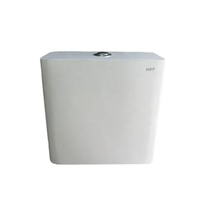 HS670 Dual Flush Tank for Squat Toilet - Wall Hung WC Toilet Water Tank Plastic Cistern