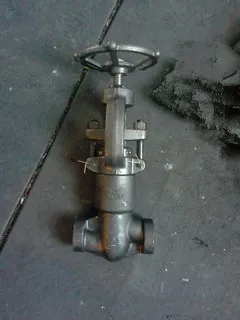 PSB Globe Valve, ASTM A105, 1/2 Inch, CL2500, SW