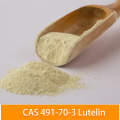 Supply Herb Extract High Quality Luteolin