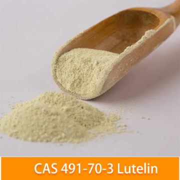 Suministro de extracto de hierbas de alta calidad luteolin