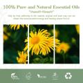 Price al por mayor Arnica Oil Organic Pure Natural Arnica Essential Oil