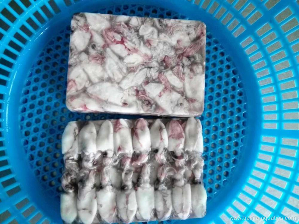 Most fresh caught Loligo Chinesis baby squid