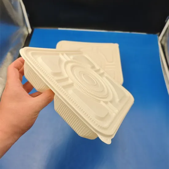 PLA polylactic acid biodegradable environmentally friendly lunch box