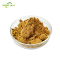Premium Kacip Fatima Extract for Natural Remedies