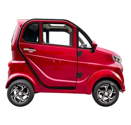 Family Use Smart Electric Car