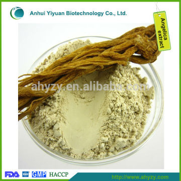 angelica sinensis root extract P.E