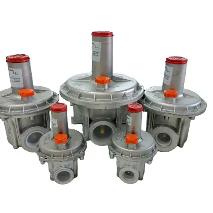 Pietro Fiorentini FMF301650005AB Natural Gas Pressure Regulator