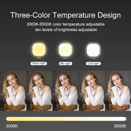 Swing Arm Desk Lamp with Clamp for Video Conferencing and Zoom