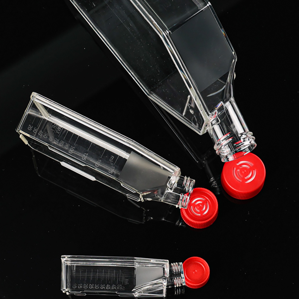 Lab Tc Treated Cell Culture Flask