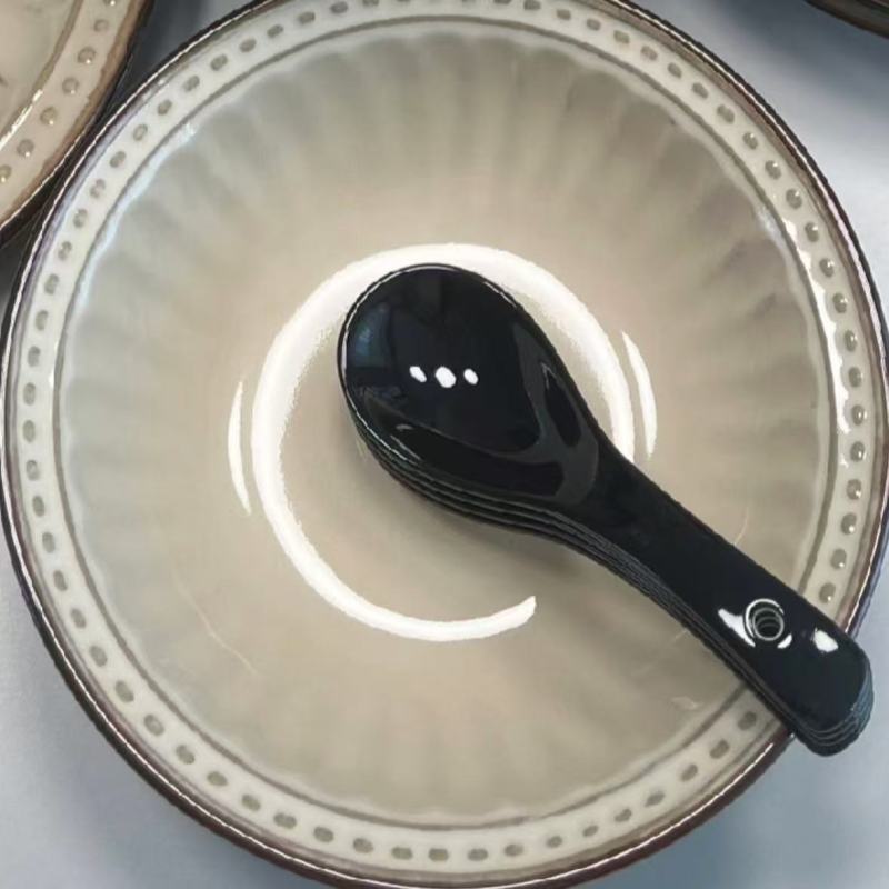 Soft-Hued Ceramic Dinnerware with Dark Accents