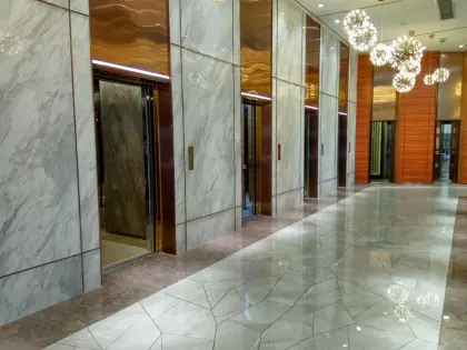 Golden Color SIGLEN Passenger Elevator Lift - China Manufacturer