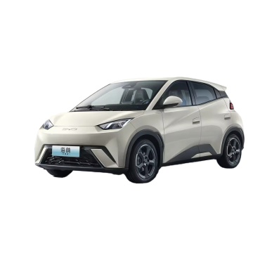 BYD Seagull 2024 Honor Edition 305 km neue Energie Elektrofahrzeug