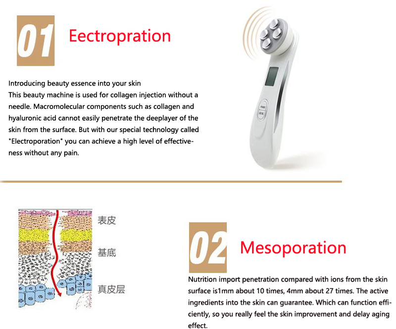 massager509676 (22)
