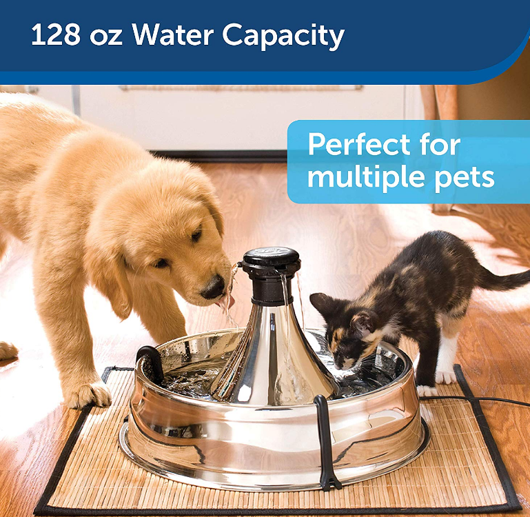 Multi-Pet Dog and Cat Fountain