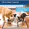 Multi-Pet Dog and Cat Fountain