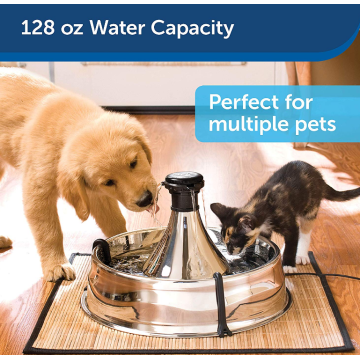 Multi-Pet Dog and Cat Fountain