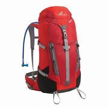 Bicycle Pack/Backpack with Two Adjustable Shoulder Staps