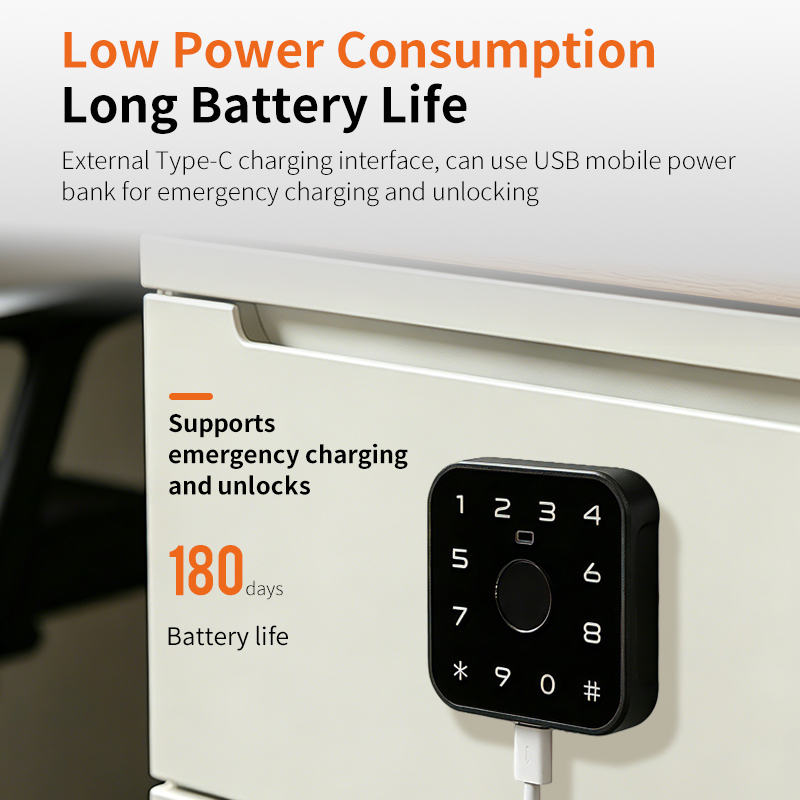 Mini fingerprint cabinet lock