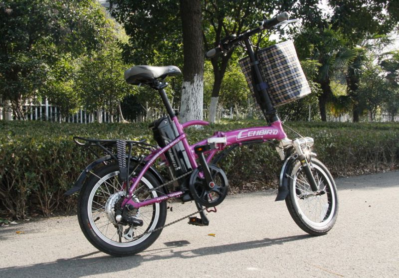 En15194 Approved Folding 2-Wheel E-Bicycle (CB-16F02)