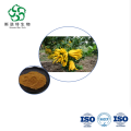 Bergamot Extract - Bulk 10:1 for Digestive & Respiratory Health Supplements