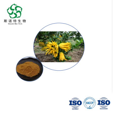 Bergamot Extract - Bulk 10:1 for Digestive & Respiratory Health Supplements