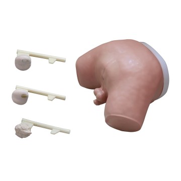 DARHMMY Prostate Examination Simulator: A Medical Training Tool for Surgical Exams