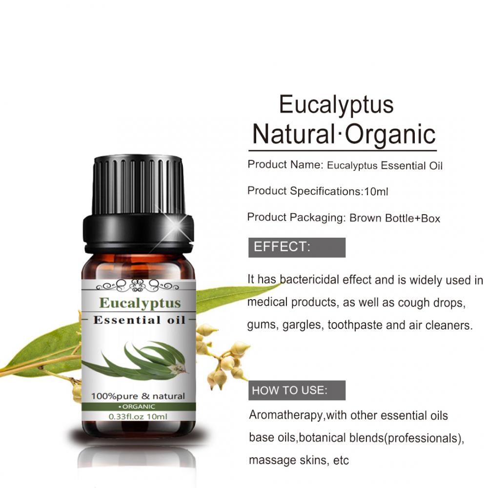 Pure Natural Stress Relief Essential Oil Eucalyputs Oil