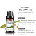 Pure Natural Stress Relief Essential Oil Eucalyputs Oil