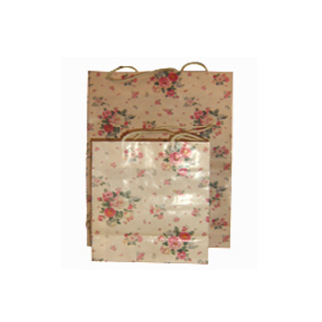 Craft  Bags