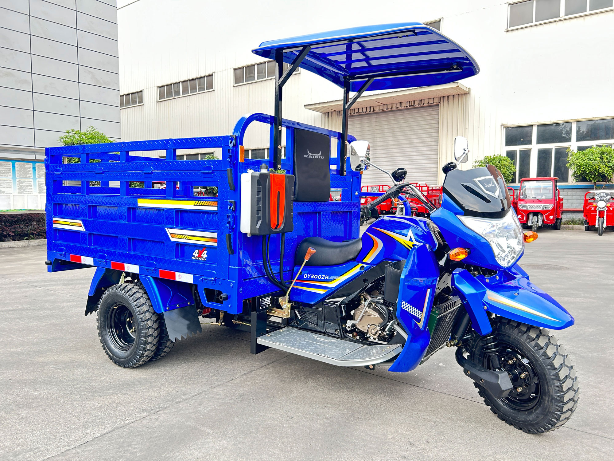 70 Ruiteng con triciclo de techo