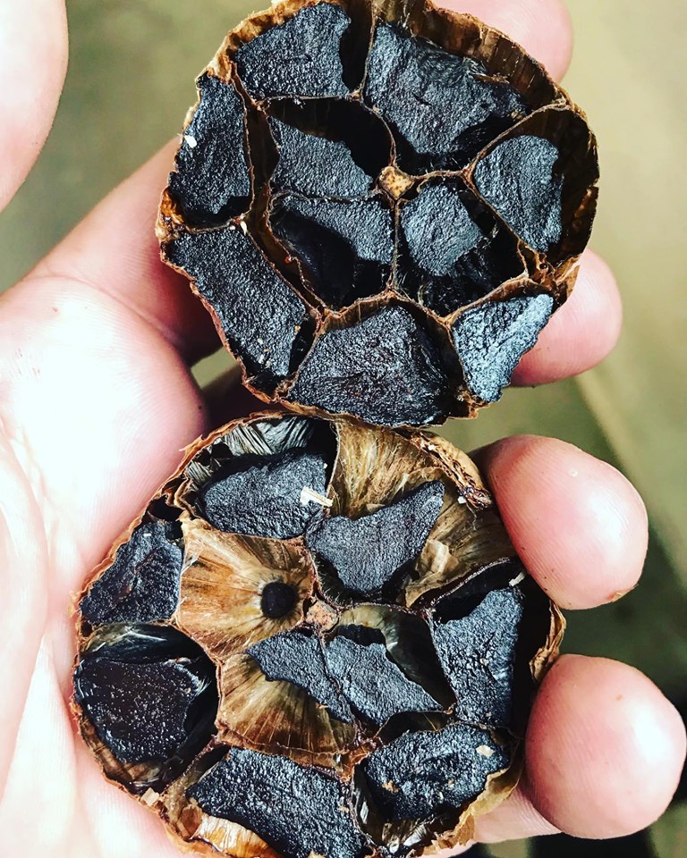 Whole Black Garlic