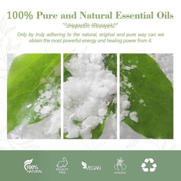 Grado terapéutico 100% puro Pure Natural Borneol Essential Oil para el crecimiento del cabello Masaje de jabón de vela