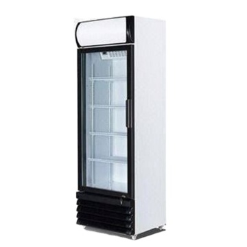 LC -193 Glass Door Vertical Display Fleszer - Freather Commercial Sprigerator