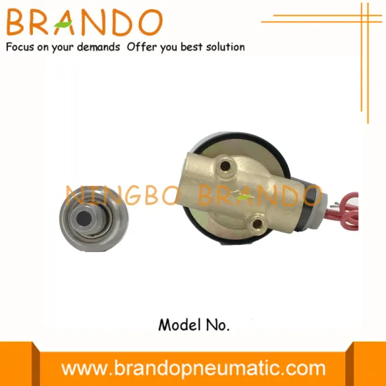 UD-10 2W040-10 water solenoid valve