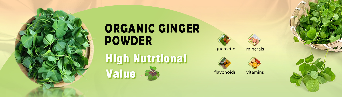 Organic alfalfa Powder-1
