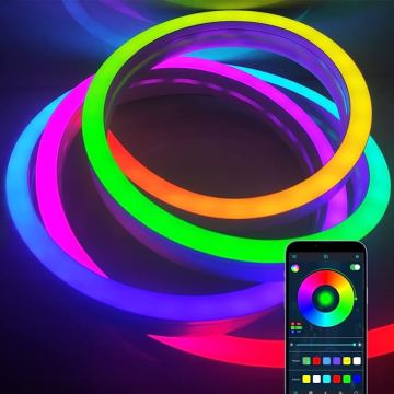 12V/24V IP67 PVC Silicone 5050 RGB Neon Flexible LED Strip Light for Wall Decoration
