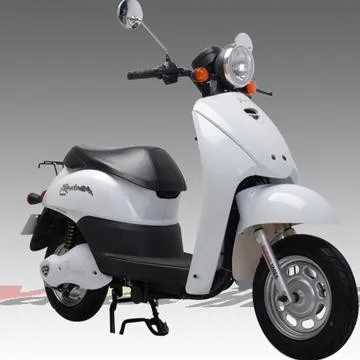 Electric Scooter-Jia Ke Chong
